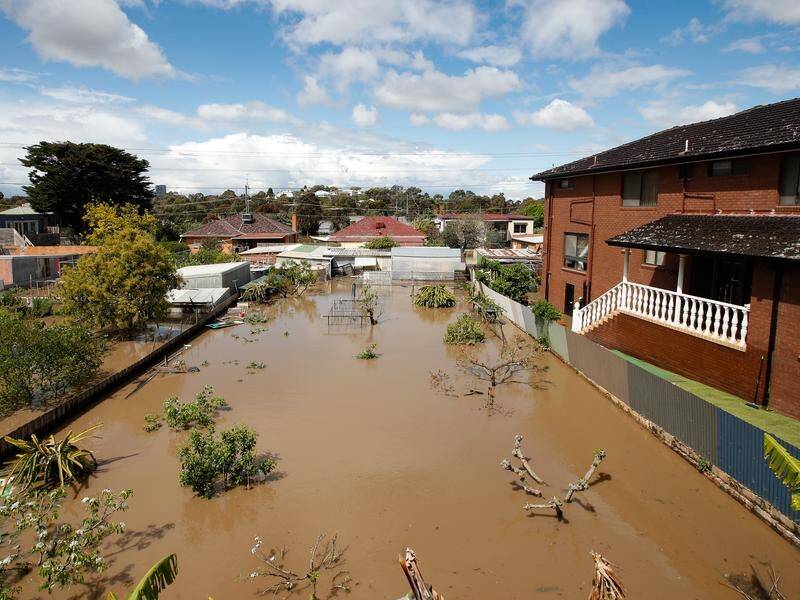 The coalition and Greens are teaming up to expand the scope of an inquiry into last year's floods. Picture supplied.