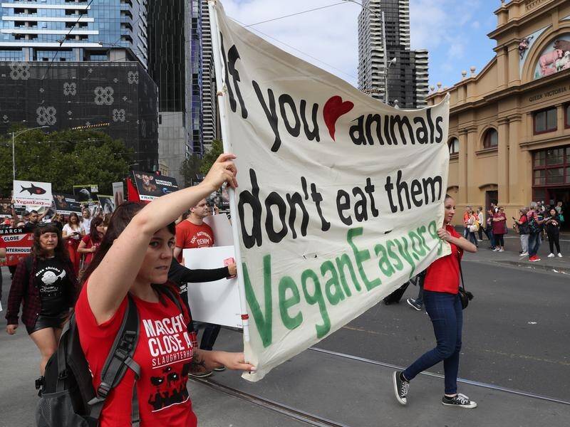 Vegan activists, pictured on Saturday, are staging another protest in Melbourne.