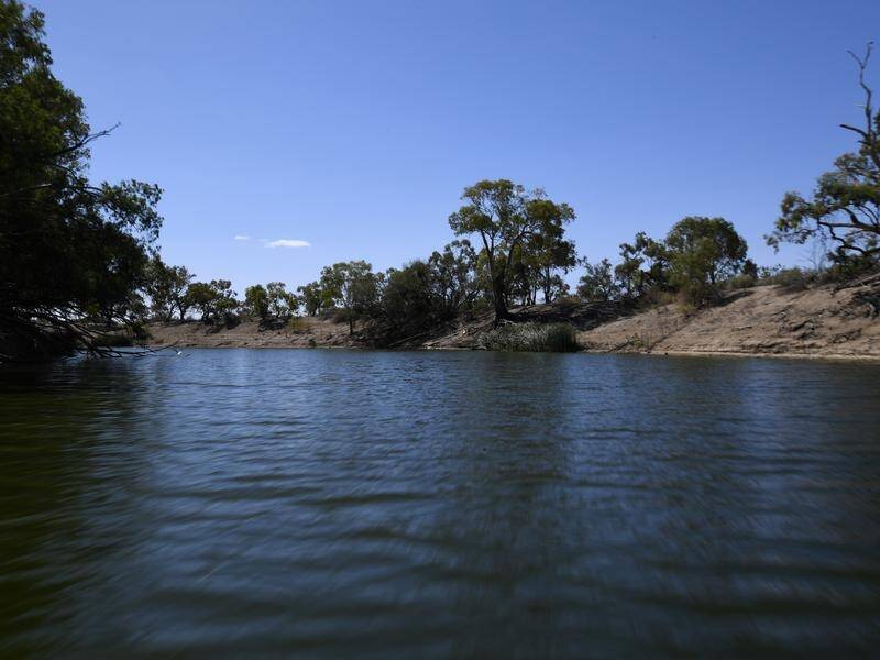 A water skiier had died while racing in the Euston Robinvale 80 race on the Murray River. (Dean Lewins/AAP PHOTOS)
