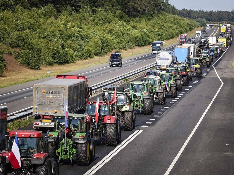 OUT IN FORCE: Dutch farmers have come out in protest against government mandated emissions reductions.