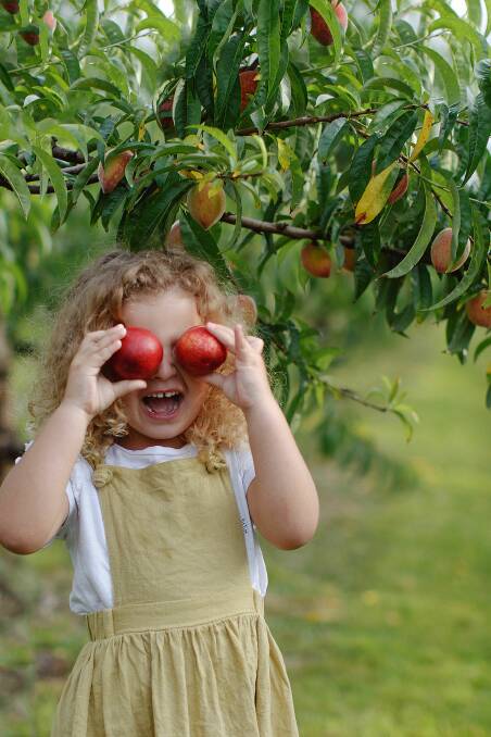 FAMILY TIME: The Peach Farm is a great place for families to come and pick fruit, and get back to nature.