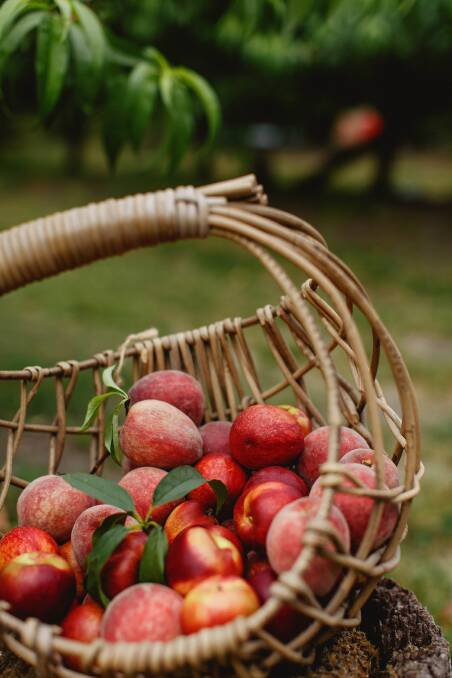 YUMMY: Fresh fruit from The Peach Farm.