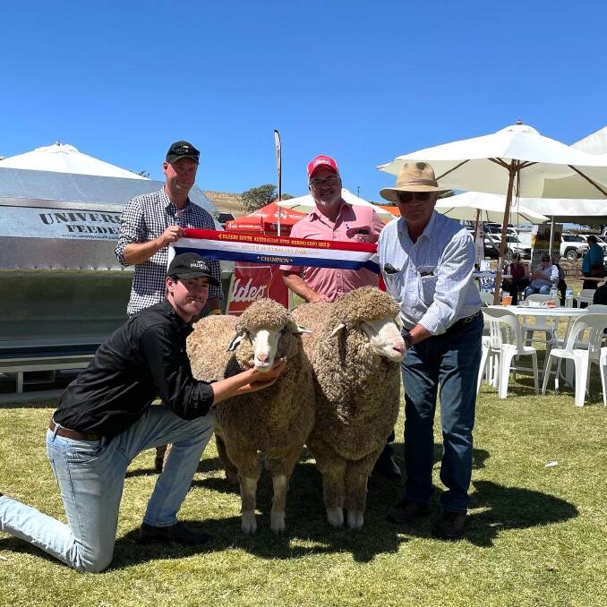 The Champion Pair at the 2023 Elders SA Stud Merino Expo. Picture supplied