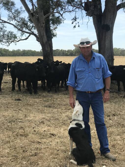 Peter Govan, with his dog Doc, will be leaving Rennylea Angus stud, Culcairn, next month after 17 years of dedicated service.