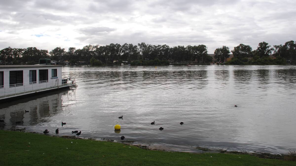 A spike in temperatures means a rise a blue green algae alerts in southern waterways, including the Murray River.