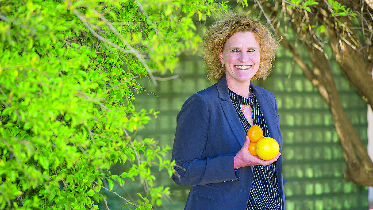GUIDE: GSPFA regional co-ordinator Deidre Jaensch says grower feedback will help guide the future of the fruit fly battle.