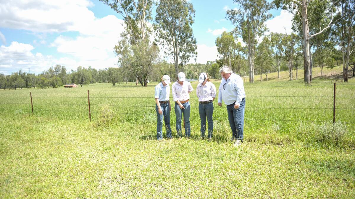 Geoff Maynard and three of his four daughters inspect an area which is dying, while just over the fence the grass thrives. 