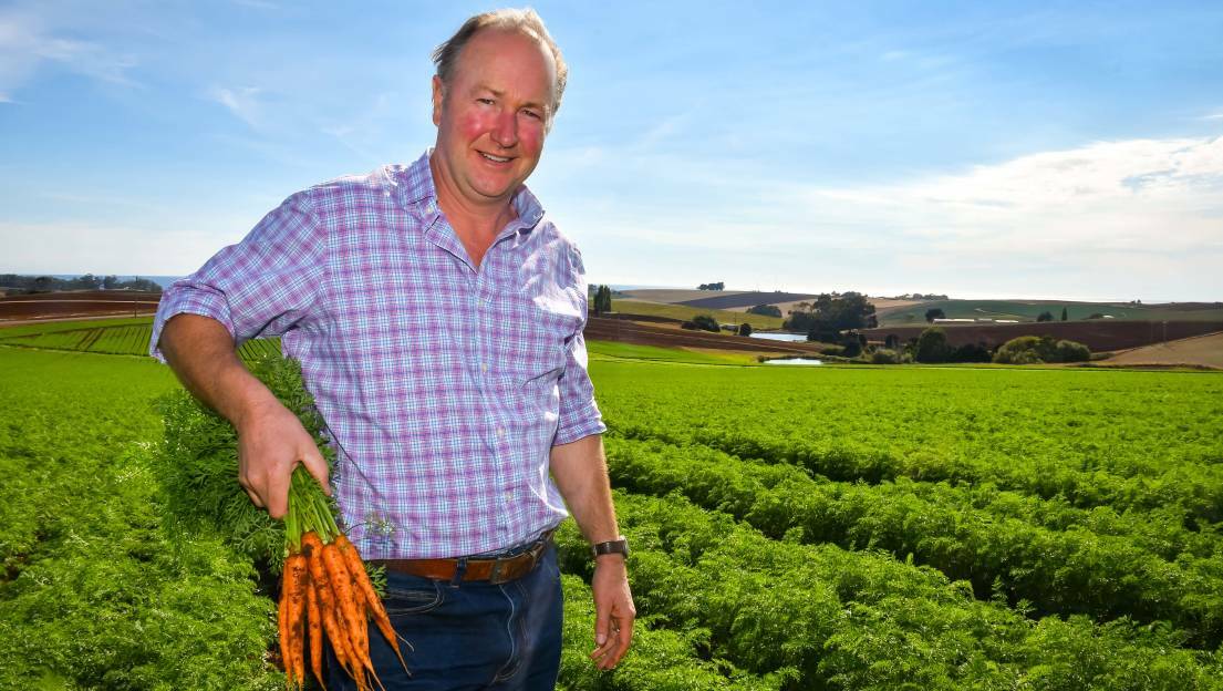 Tasmanian Agricultural Productivity Group chairman Mark Kable said he was concerned about labour shortages with harvest season approaching. Picture: file 