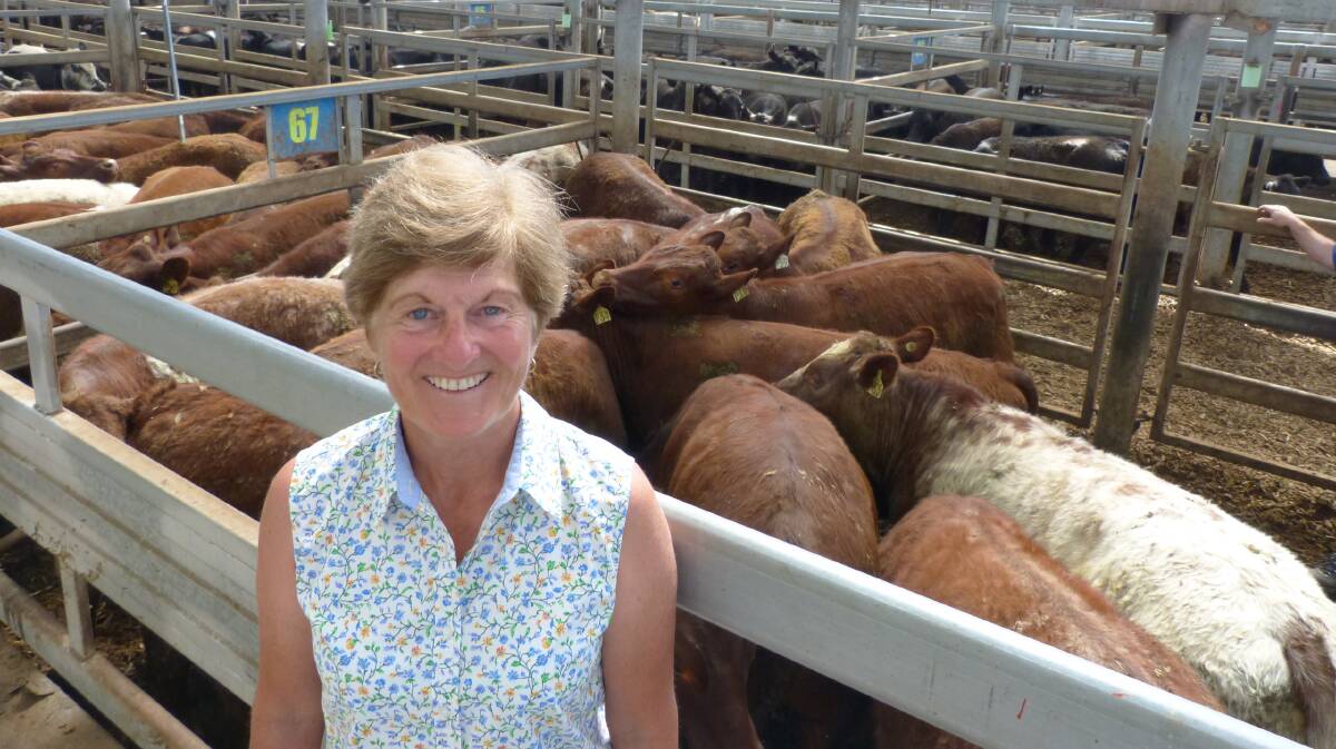 Jill Bowron, Sandy Point, sold Shorthorn steers at Leongatha, but doesn't have to worry about dark cutters.