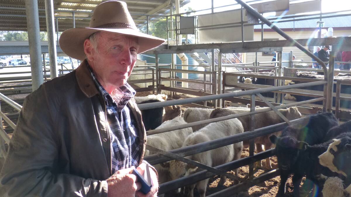 Laurie Reed has been selling steer and heifer calves from his Delegate property, over several recent Bairnsdale store sales. This market was the toughest of the lot.