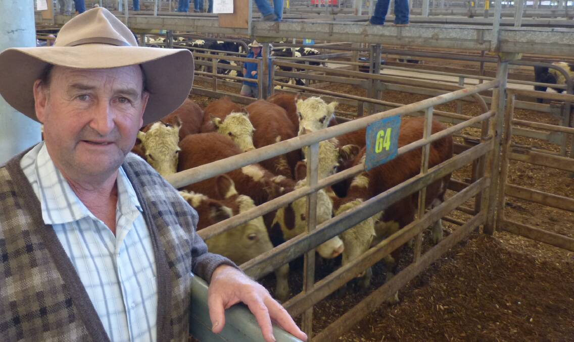 Max Fleming, Jones & Fleming, Rosedale, sold Hereford & Angus-Hereford steers at Leongatha and Max was very happy when their steers sold for $1440 & $1480.