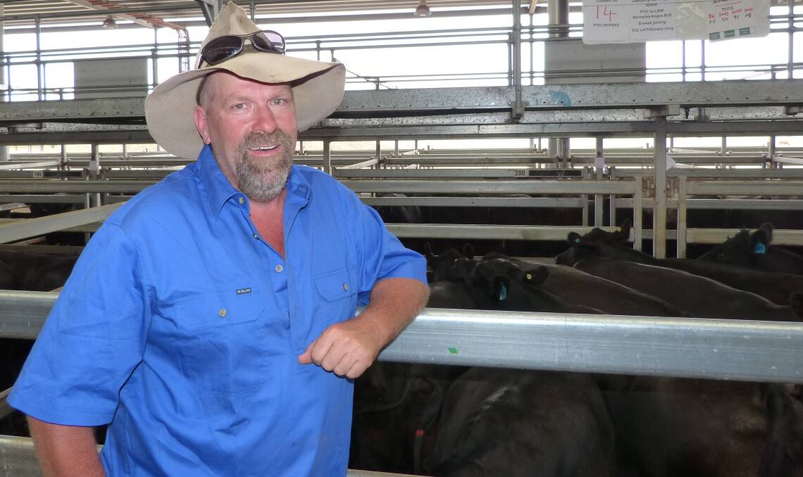 FOLLOWING SALE: Jason Singe, Henty, NSW, was at Barnawartha on Thursday to follow the annual sale of beef breeds cows and calves and joined heifers and cows.