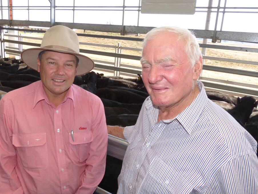 Alan Scott, Tocumwal, and Elders Southern and Eastern Region Manager Ron Rutledge chat before the sale of Alan's 227 Angus steers at Wodonga.