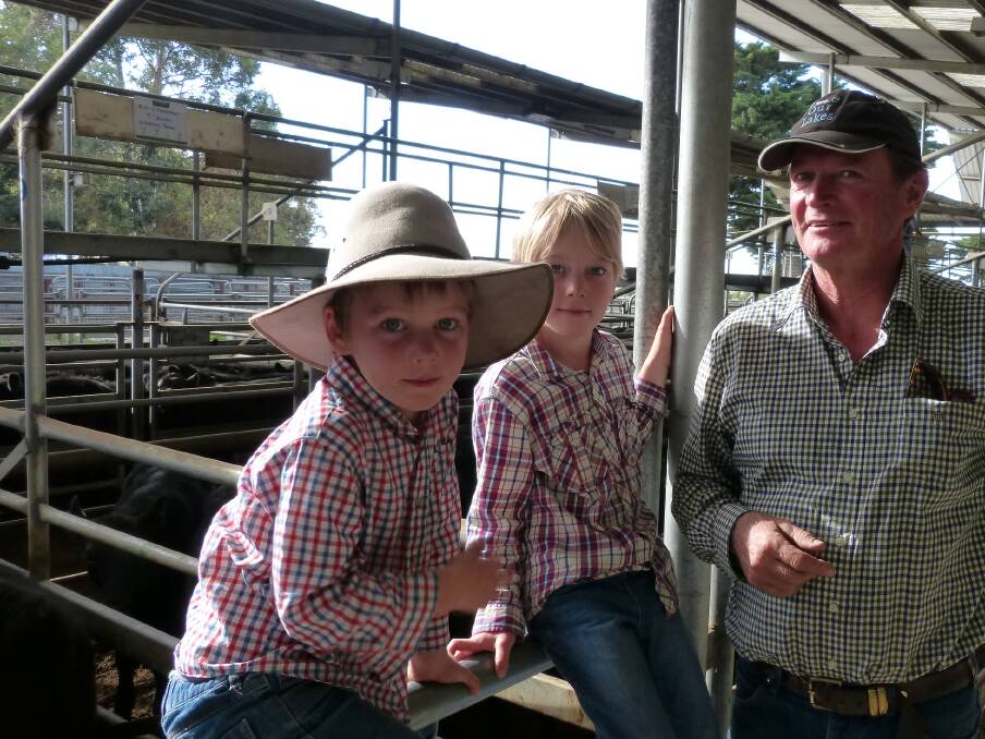 Andrew Sheridan was accompanied by sons Jack (left) and Ned. The AF Sheridan & Partners steers sold to $1020 with Gary Owen, Leongatha buying all three pens.