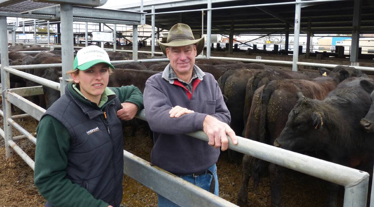 Landmark agent Liz Dridan was with her client, Ian Collins, Glenlogie Family Trust, at Ballarat, Friday. Ian sold 23 Angus steers, 473 kilograms, for $1530 for one of the day's best sales.