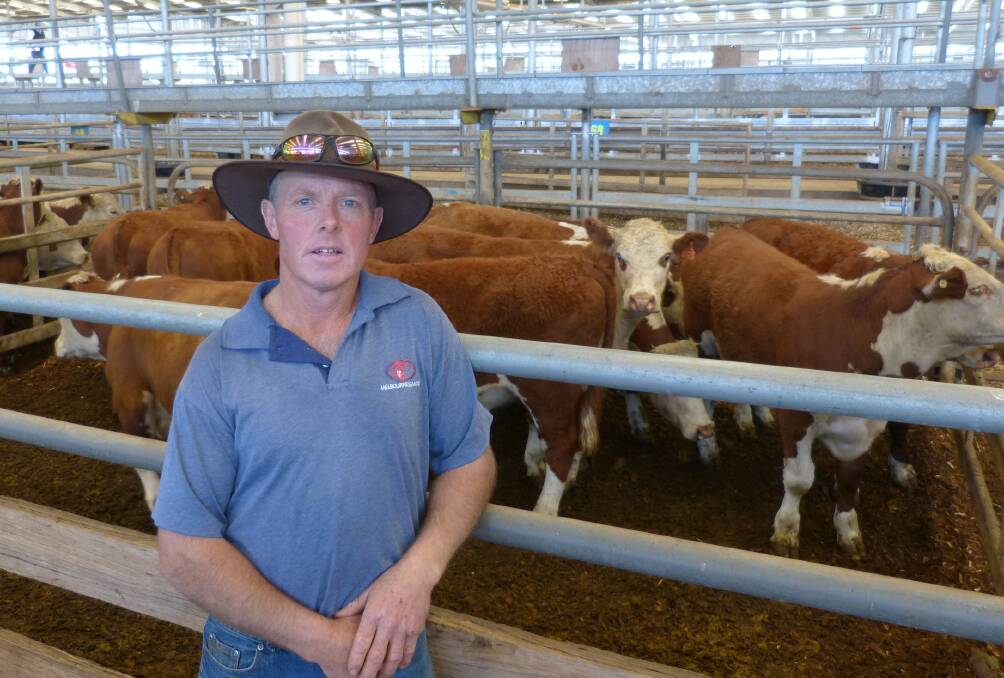 Gary Anthony farms large acres at Meeniyan, but with plenty of mouths on farm, it was time to sell. His 50 steers sold from $1330-$1390.