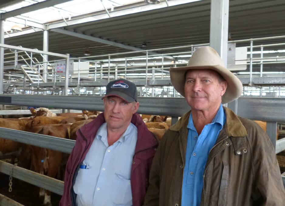 Rob Berry (R) represented J Wilcox, "Blackcamp", Omeo, who sold these Hereford cows at Wodonga. PTIC to calve next year, 20 cows sold for $1200, and unjoined cows for $1060. Phil Collins sold steers later in the sale.