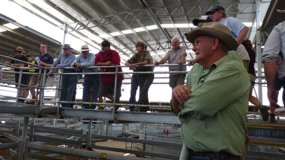 Big Crowd: South Gippsland buyers set the pace at Sale, one of these was Eddie Hams from Landmark-EGL.