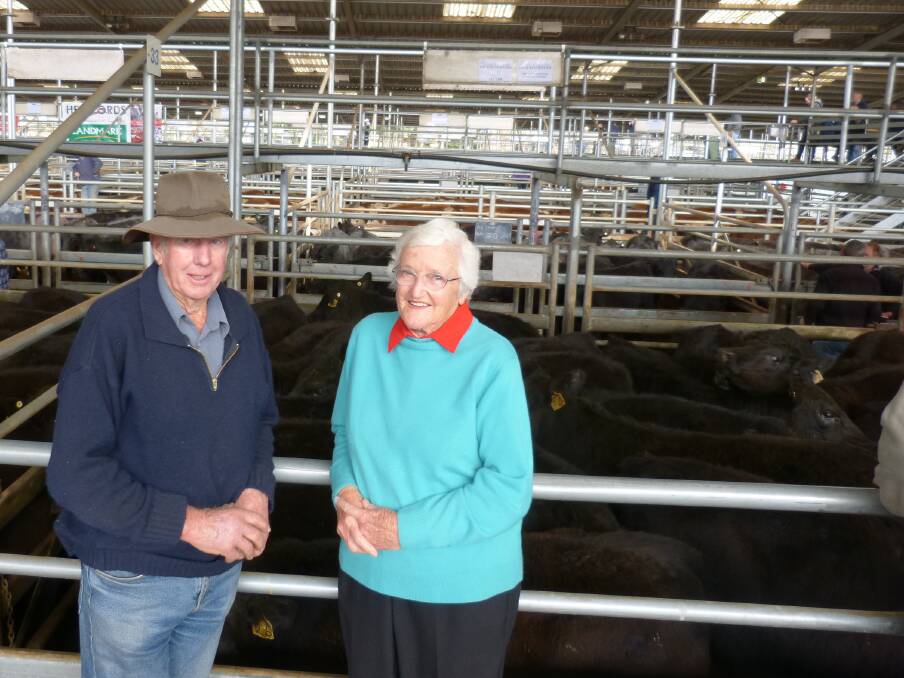 Dennis and Rosalie Stringer, Newlands Arm, offered 54 Angus steers of high quality, sought out by repeat buyers. Selling from $1405-$1500, which equalled 405-430c/kg.