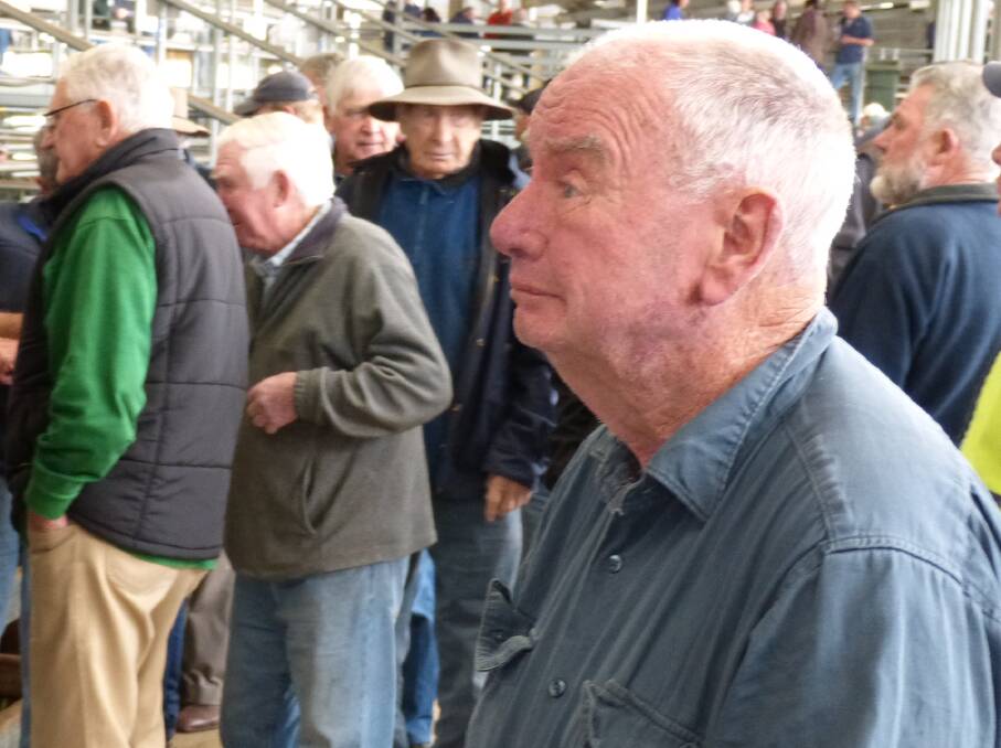 Geoff Brown watches intently as his and Patricia's Kent Park, Mt Taylor, steers go under the hammer. Landmark EGL sold 175 Hereford steers to $1310, to av $1038.