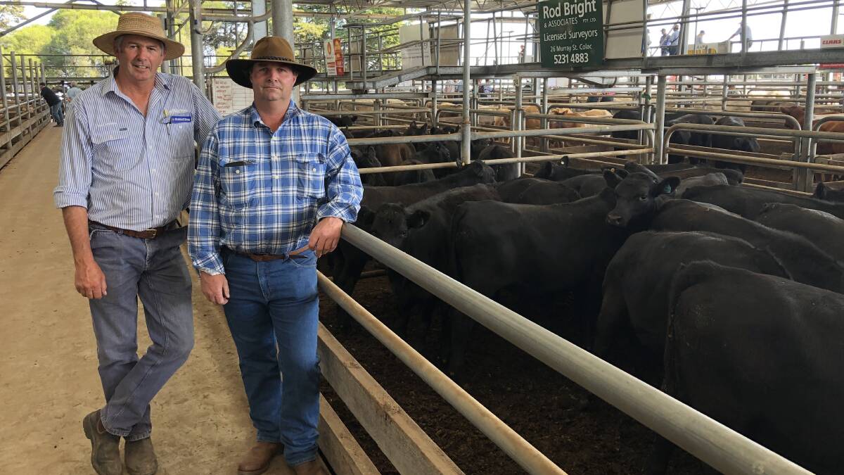 Top price weaners: Charles Stewart Dove livestock manager Phil Douglas with Geoff Coverdale, Purumbete South Pastoral, whose top pen of Angus steers, 366 kilograms, topped the weaned steers, selling for $1180 a head at Colac on Friday.