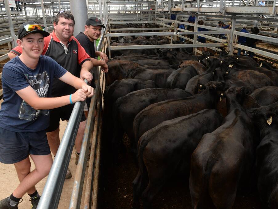 Dale & Ben Paddle, "Glenavey", Tallangatta Valley with Paul Hodgkin alongside these 33 Angus steers that sold fro $1260 at Wodonga, Friday 6.