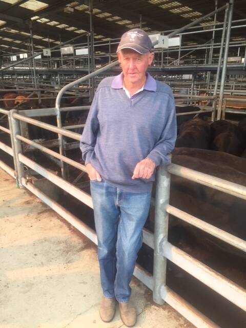 Bairnsdale: Barry Sharp is typical of many producers at the moment, and could not hang on any longer, and sold his bullocks at the Barinsdale store sale, Friday.