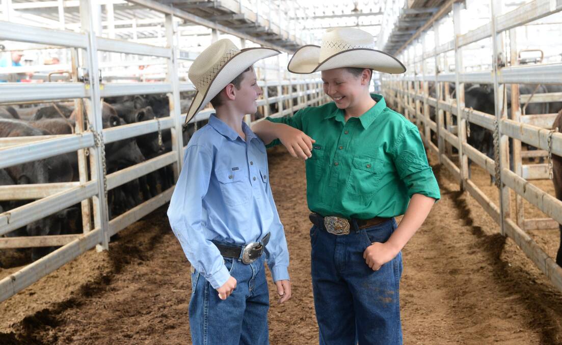 Heywood brothers: Bayden and Tyler, share 
a humorous moment during Friday's calf sale. 
Photo: Rachel Webb. 