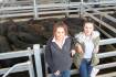 Young cattle mostly firm at Sale penning