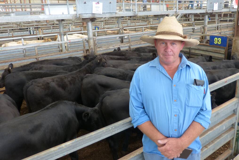 Makana Farm's manager, Greg MacKay, Lang Lang, watched over their 128 Angus steers, Anvil blood, at Pakenham. A good sale saw these sell to $1030.