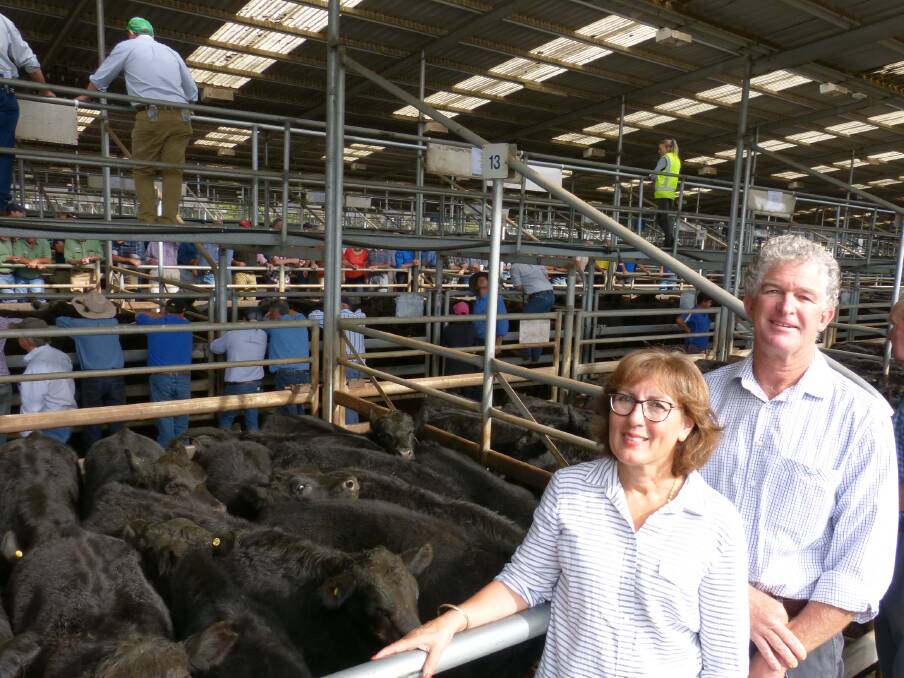 Shaun and Maria Beasley, Emu Park, offered a premium, large line of 171 Angus steers at Bairnsdale. These Angus steers sold to strong demand making to $1135, av $994.