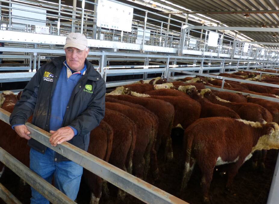 Ross Trethowan, Cookardinia, sold a feature line of 132 yearling Hereford steers at Barnawartha, that sold to strong demand, topping at $1365.