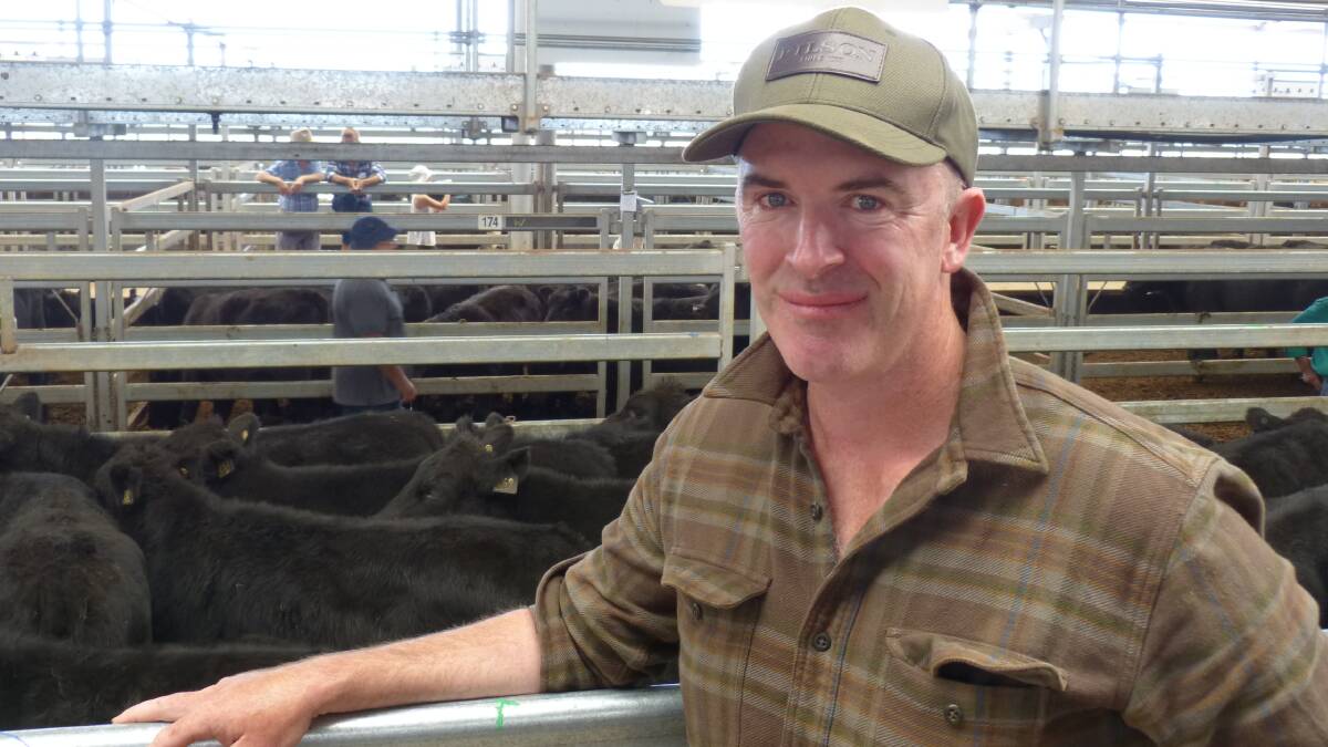 James MacDougall, Tooma, was the largest vendor at Wodonga, Thursday, selling cows and calves, 96 steers and 37 heifers. Strong competition saw all cattle sell at firm to dearer rates. 