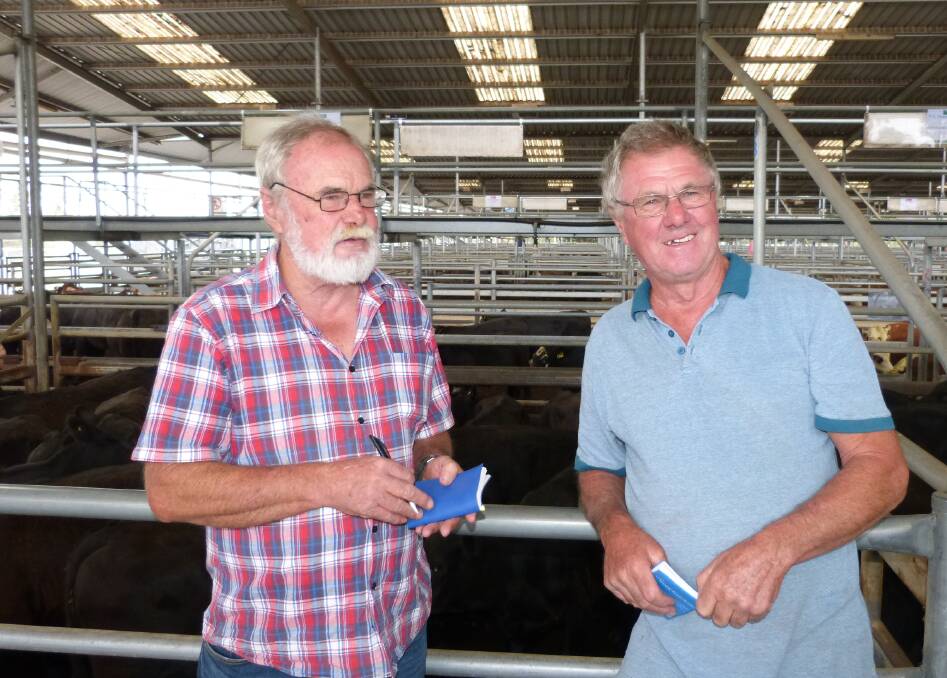 Brothers, Chris and John Hayward, Ensay, were very happy with their sale results at Bairnsdale. Their 70 steers sold to $990, and all equaled over 300 cents per kilogram.