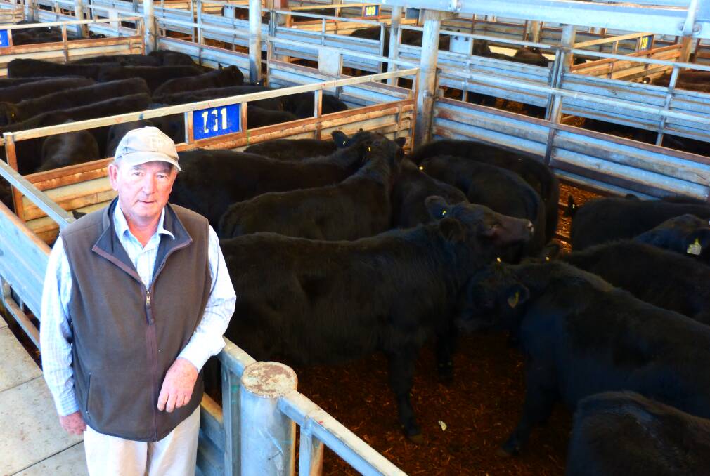 John Clements, Cremona Park, Keysborough, sold his annual draft of Angus steer calves by Entaly Angus bulls. His 59 steers sold to $1095, or 328c/kg lwt.