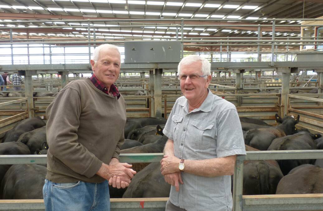 Ian Mills, left, Ballanee Angus stud, Nilma, was with Tom O'Connor, Warragul, who sold Angus steers sired by Ballanee bulls, at Pakenham, Thursday.