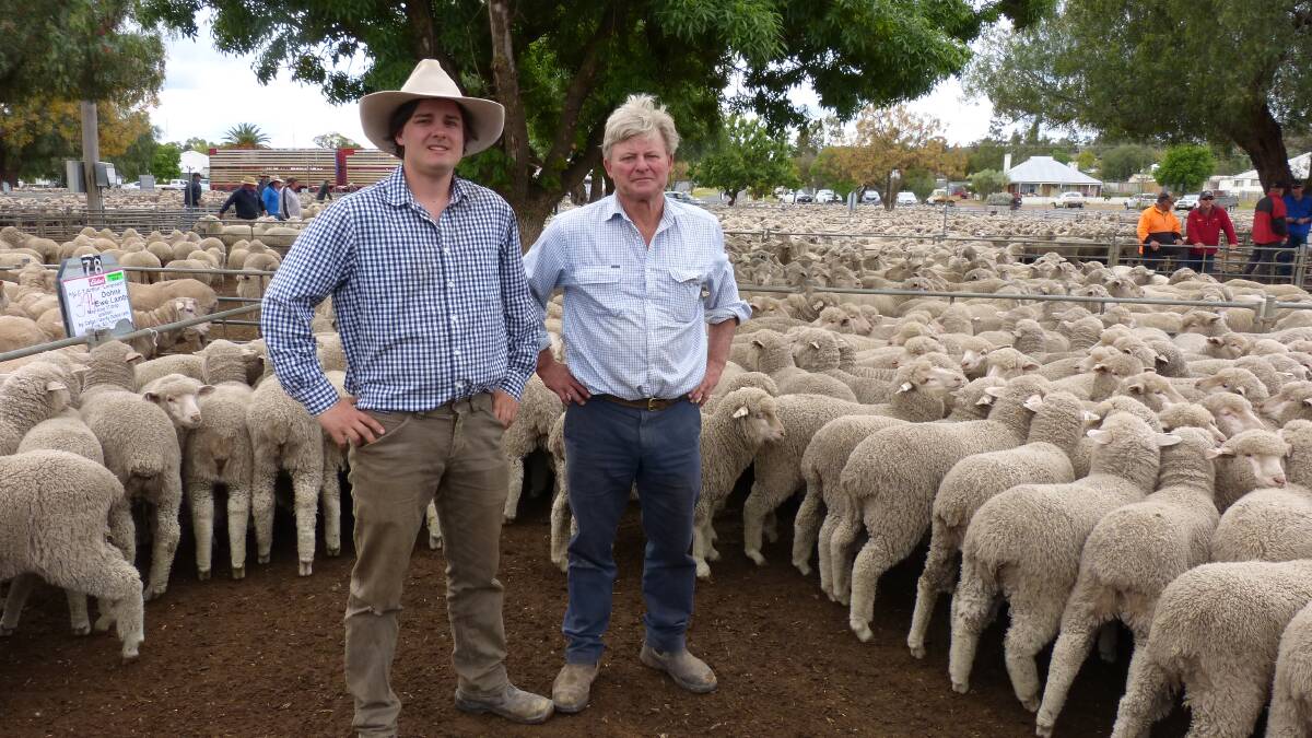 Dispersing: Charlie and Jock Archer, 
"Longreach", dispersed their Dohne 
flock at Wycheproof last Friday.