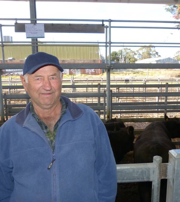 Retiring from farming saw John Wals, Heyfield, sell 82 joined 1st & 2nd calving Angus cows at Sale, Friday. Strong competition saw them sell from $1500-$1960.