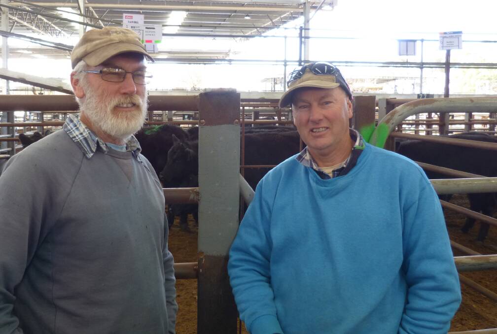 Brothers Keith and Ron Dean caught up at Euroa, Wednesday, to folow the store sale. Keith had been looking after some heifers and watched them sell for $540-$600.