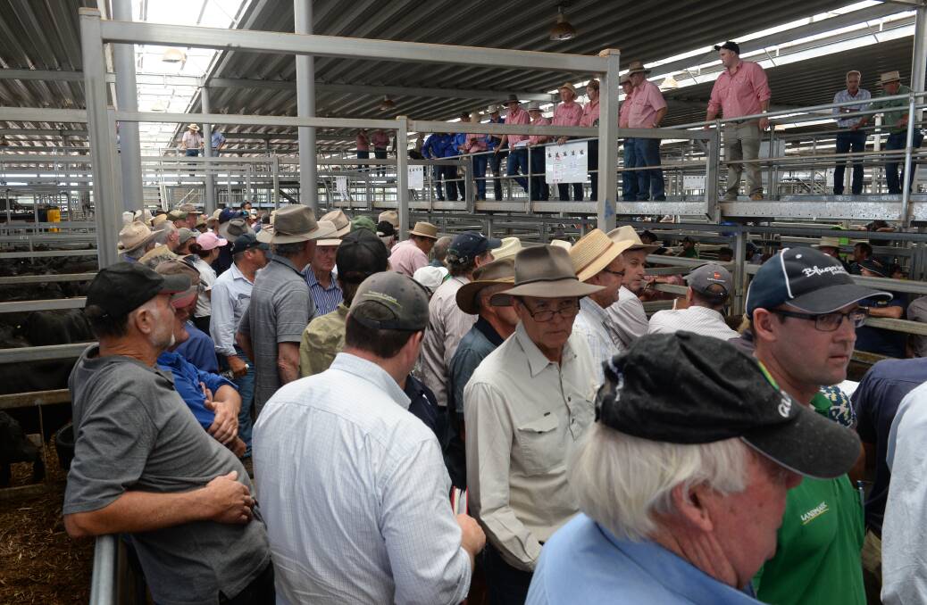 Some of the burgeoning crowd move slowly along the selling pens where yearling heifers were being sold at Wodonga, Competition and prices were very good.