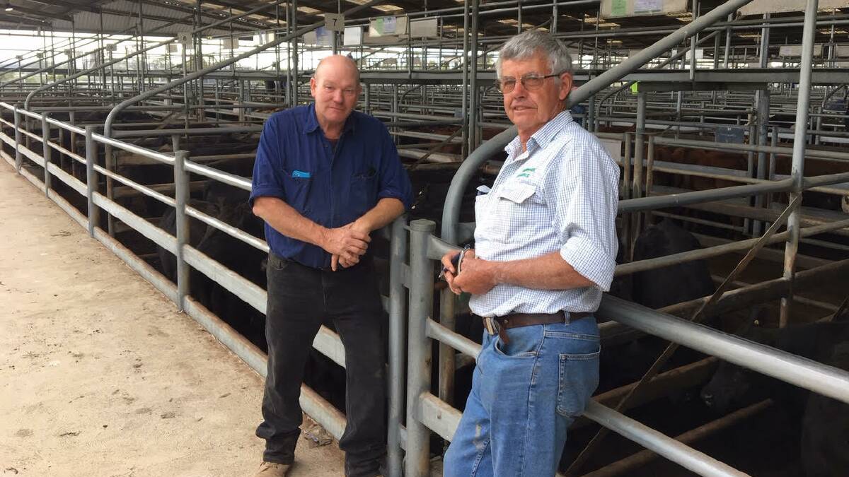 Toby Gibbs, Crooked River, sold 10 Angus steers for $1190 at Bairnsdale's sale on Friday. Mr Gibbs is pictured with Owen Waller, Landmark EGL.