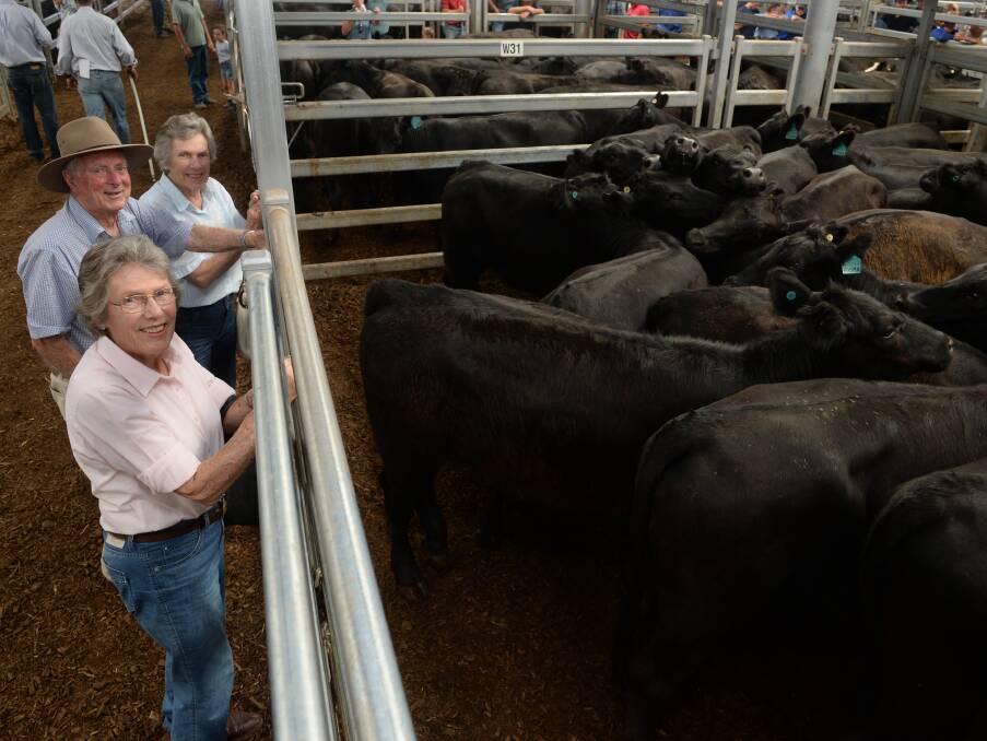 Helen Sutherland (front), Tooma Station, with Michael & Jill Scott, ALbury with some of the 115 heifers Helen sold at Wodonga, from $1110-$1295 in a very strong sale.