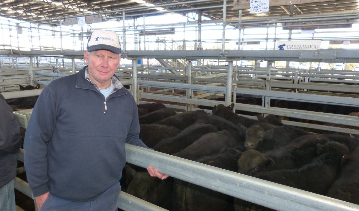 David Bates, Munro, is running out of feed, and sold his 60 Angus steers two months early. Selling from $1070-$1400 was a good result, in a solid Sale market, Friday.