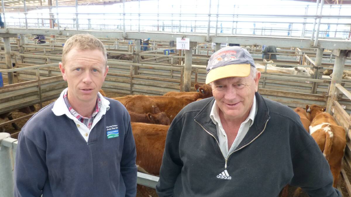 Peter Cutler, Buln Buln East, and father Robert, sold some of their future dairy heifers at Pakenham, because of Murray Goulburn's decision to cut their milk price.