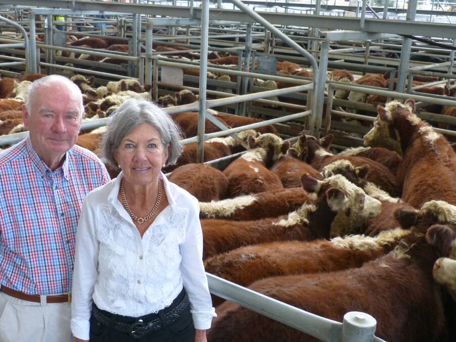 Patricia and Geoff Brown, sold their annual draft of "Kent Park" Hereford steers at Bairnsdale. Their 145 Newcomen & Basford blood steers sold to $1100, av $943.