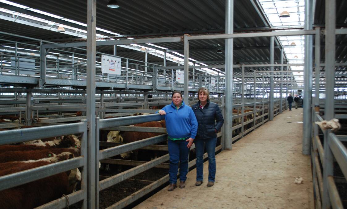 Michelle and Kerri Burrows, Mt Skene Past Co, Merrijig, sold 28 yearling Hereford steers at Barnawartha, Thursday, from $1320-$1380, or 326&346c/kg lwt, for a good result.