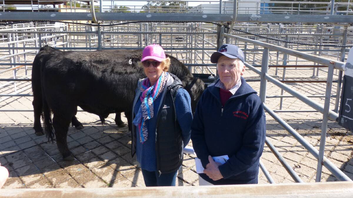 Kunuma Angus' Keith Lynch with Robyn Kuch, a repeat buyer, and lot 6, Kunuma M151 (AI), that Ms Kuck paid $6200 to top the sale at Sale.