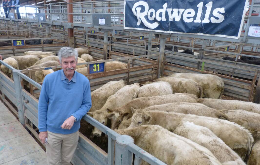 Patterson and Hutchison's Russell Patterson was very happy with their results for these very good quality, Violet Hills blood steers. Their 34 head sold to $1210 at Pakenham.