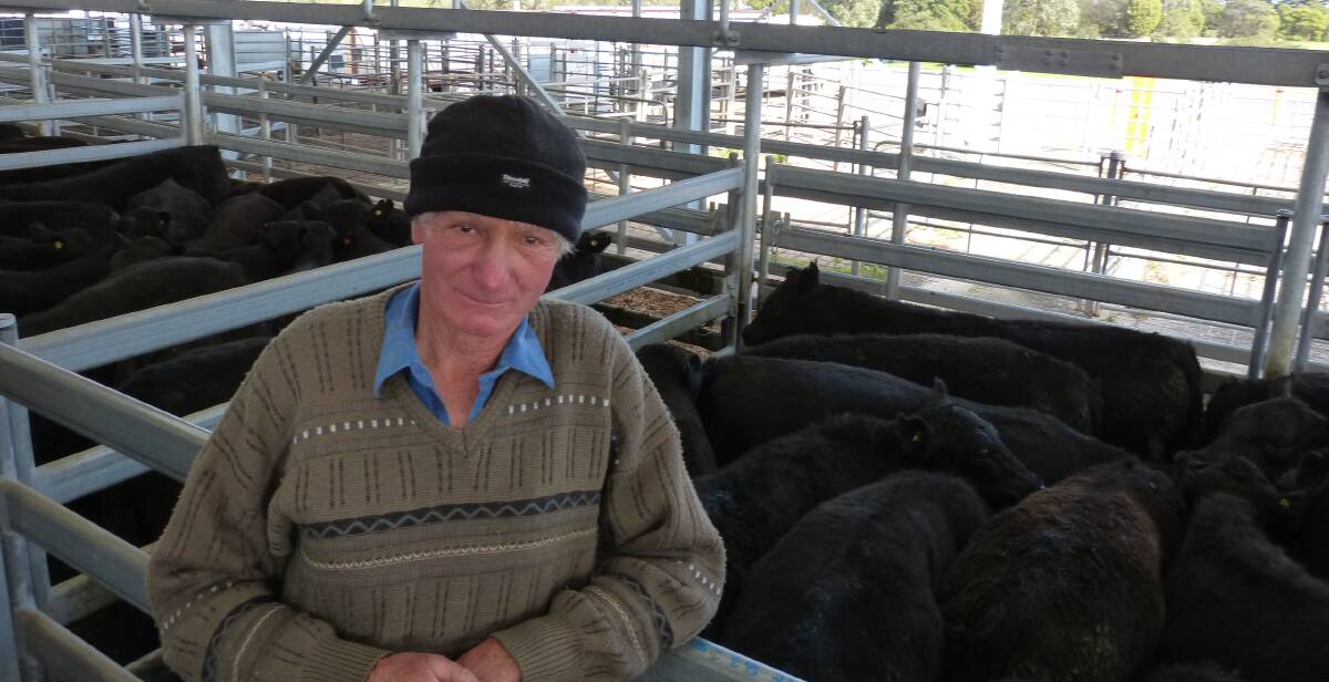 Recovering from an injury sustained on farm, Geoff Bates still mustered 138 Angus steers and 80 heifers, which was 45pc of the total yarding at Sale. Elizabeth Bates came back from Melbourne in time to see their heifers sell.