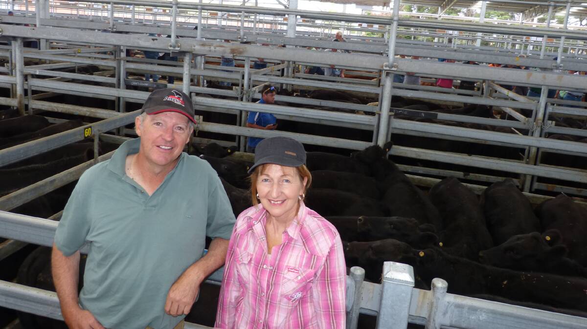 Richard and Kathleen Telling have spent time and money to raise the level of the breeding of their cattle. It paid dividends at Sale, Friday, as they sold 60 Angus steers to $1500 for their autumn drop 2016 calves.